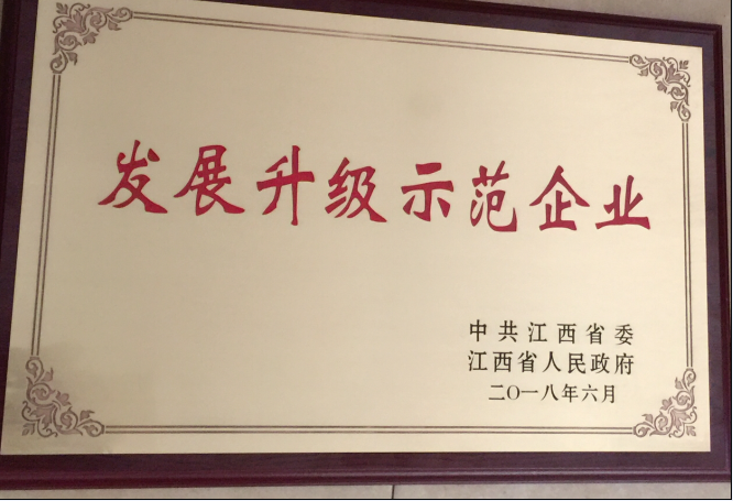 凯发天生赢家一触即发首页荣膺＂全省先进非公有制企业”