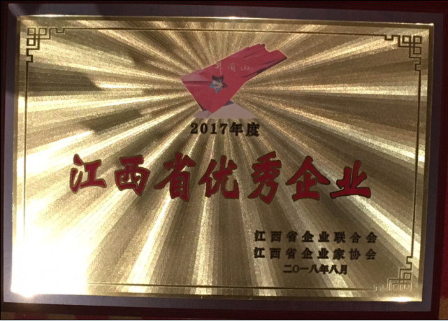 杨文龙董事长荣膺“江西省优秀企业家”